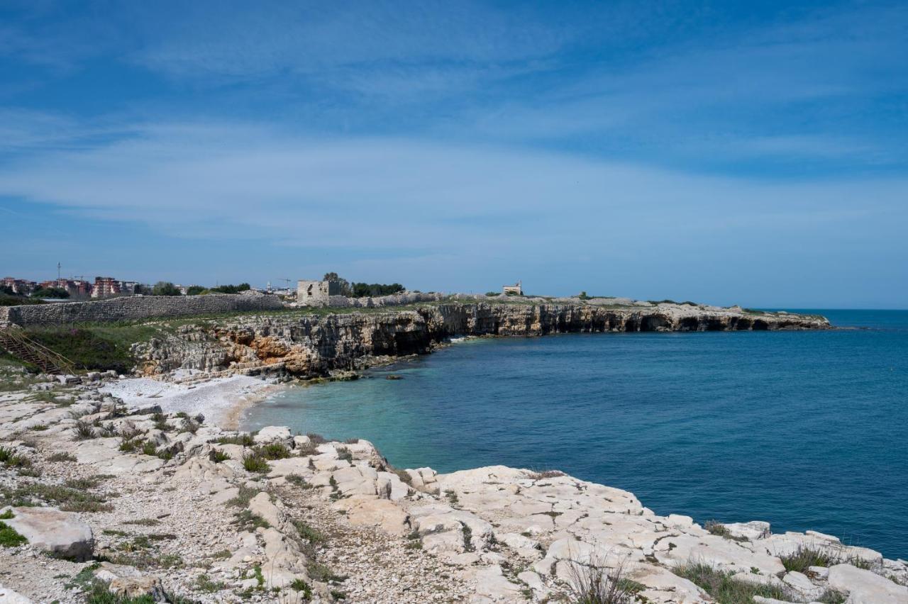 Cavalluccio Marino Bisceglie Luaran gambar